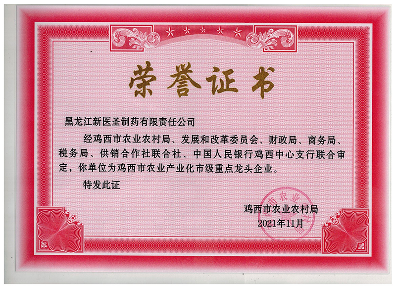 贺必一注册制药获市级重点龙头企业称号